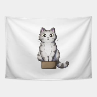 Tabby Cat Sitting In Small Box Tapestry