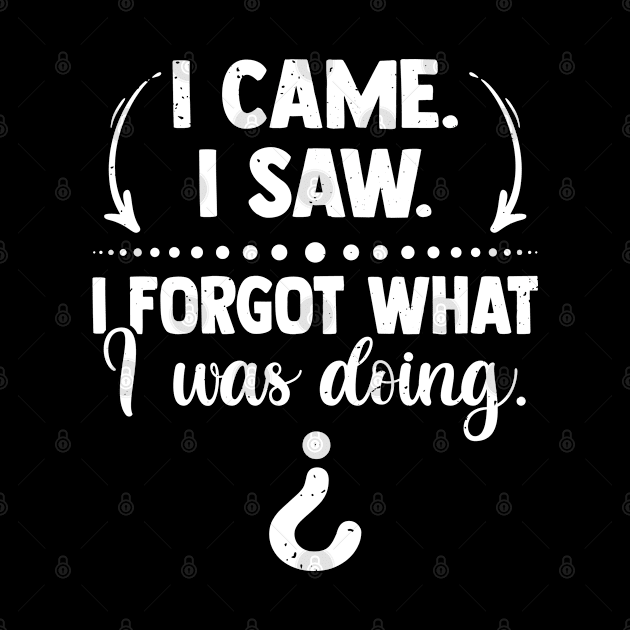 I Came I Saw I Forgot What I Was Doing Funny by YouareweirdIlikeyou