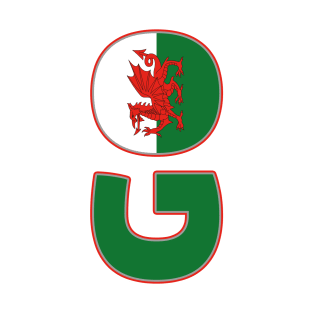 Go Wales | BG White T-Shirt