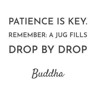 Patience is key. Remember_ A jug fills drop by drop - Buddhist Quote T-Shirt