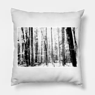 Monochrome effect deep in forest scene on a trail Pillow