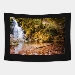 Autumn waterfall at Navarre in Spain Tapestry