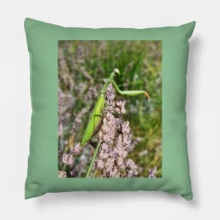 praying mantis Pillow