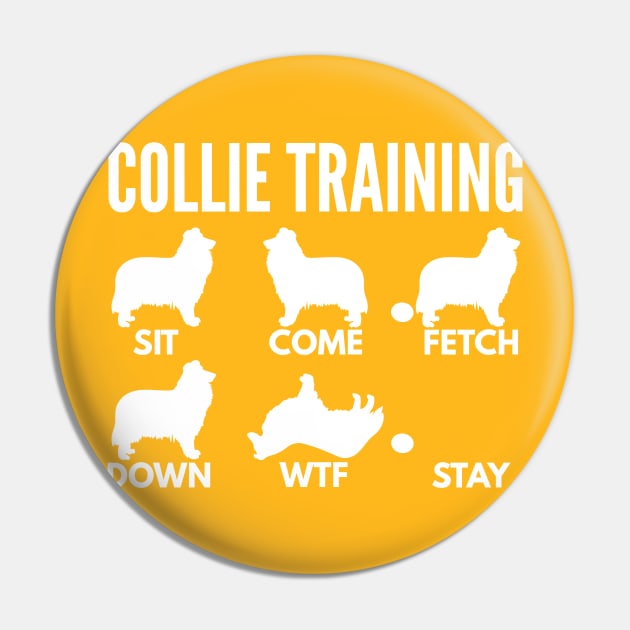 Rough Collie Training