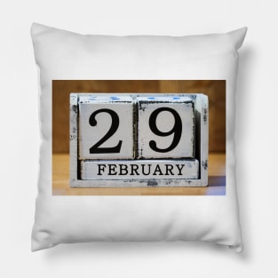 Leap Day Pillow