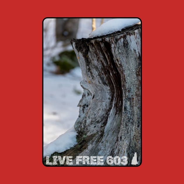 Live Free 603 - Old Man of the Mountain by MagpieMoonUSA