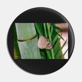 Butterfly on bamboo Pin