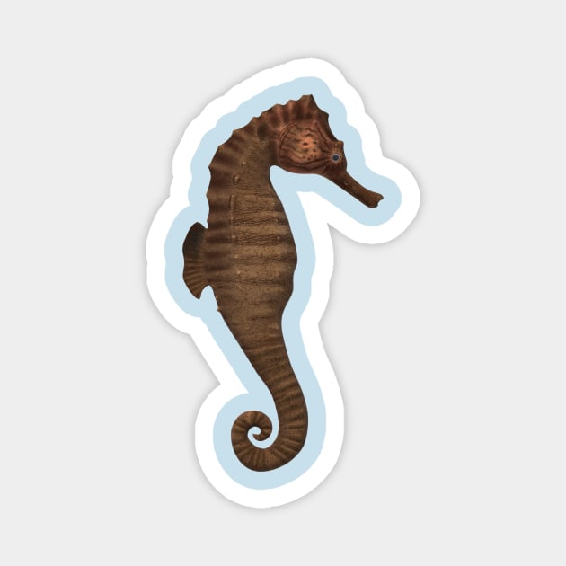 sea horse Magnet by MOUKI