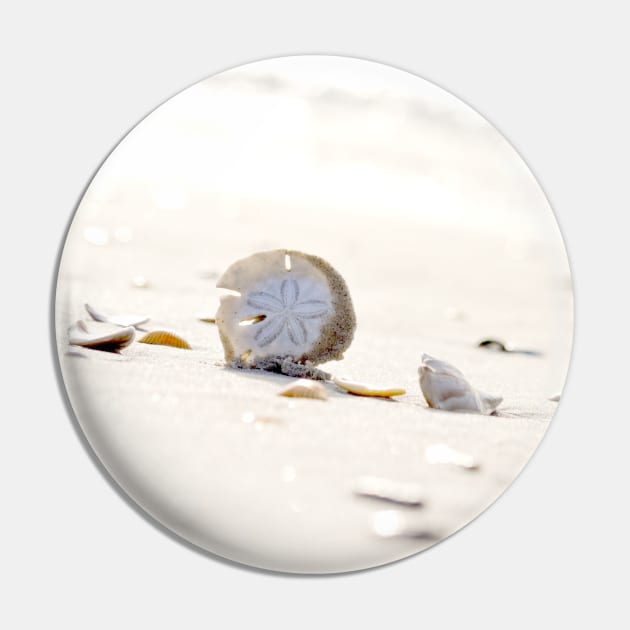 Sand Dollar Pin by Bayhill Studio