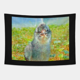 Baby Bird 1 Tapestry