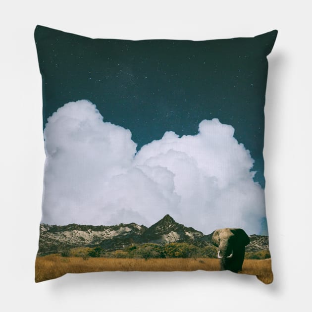 Safari Pillow by Aaron the Humble