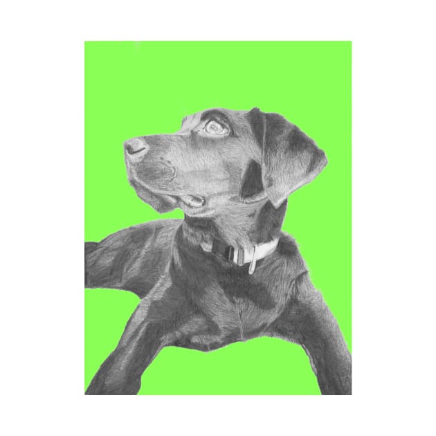 Black Labrador Retriever in Green by DavidASmith