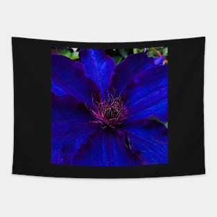 The Deep Quiet Joy of Neon Blue Clematis Tapestry