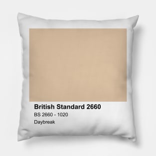 Daybreak British Standard 1020 Colour Swatch Pillow