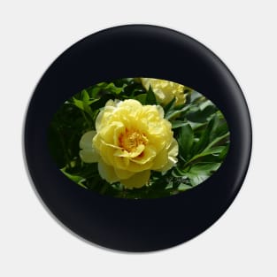 Yellow Peony Pin