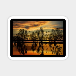 Golden Sunset Magnet