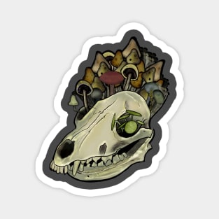 Fox Skull Magnet