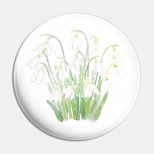 white snowdrop flower botanical watercolor painting Pin