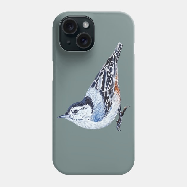 White Breasted Nuthatch - wild bird painting (no background) Phone Case by EmilyBickell