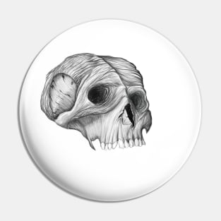 Skull Pin