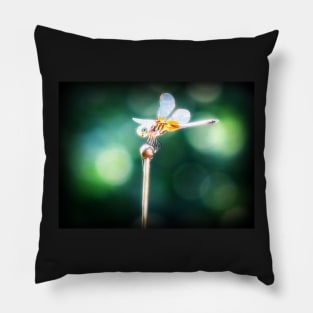 dragonfly Pillow