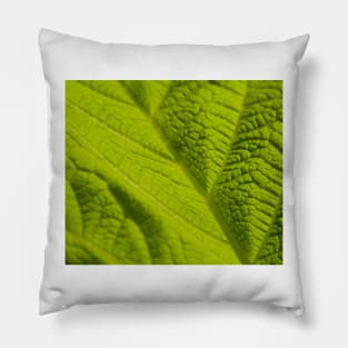 Green Leaf macro Pillow