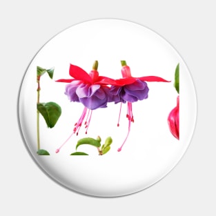 Fuchsia Pin