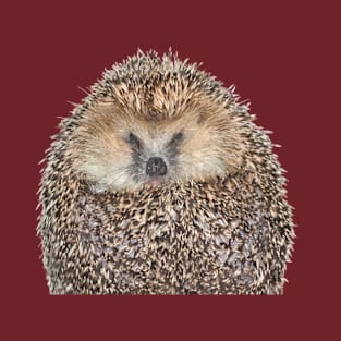 Hedgehog Portrait T-Shirt