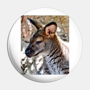 Wallaby Pin