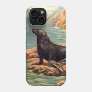 California Sea Lion Phone Case