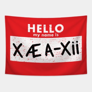 Hello My Name is X Æ A-Xii (Worn) Tapestry