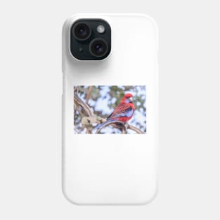 Crimson Rosella 03 Phone Case