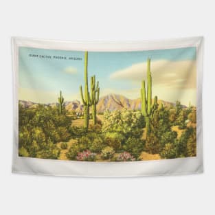 Phoenix, Arizona postcard Tapestry