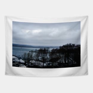 Damp East Burlington Bay overlook Tapestry