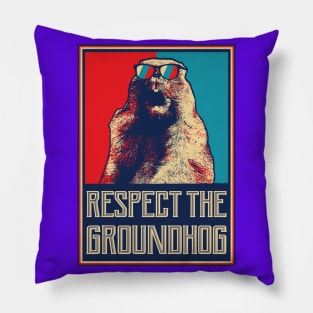 Respect The Groundhog Woodchuck Photo Ground Hog Day Pillow