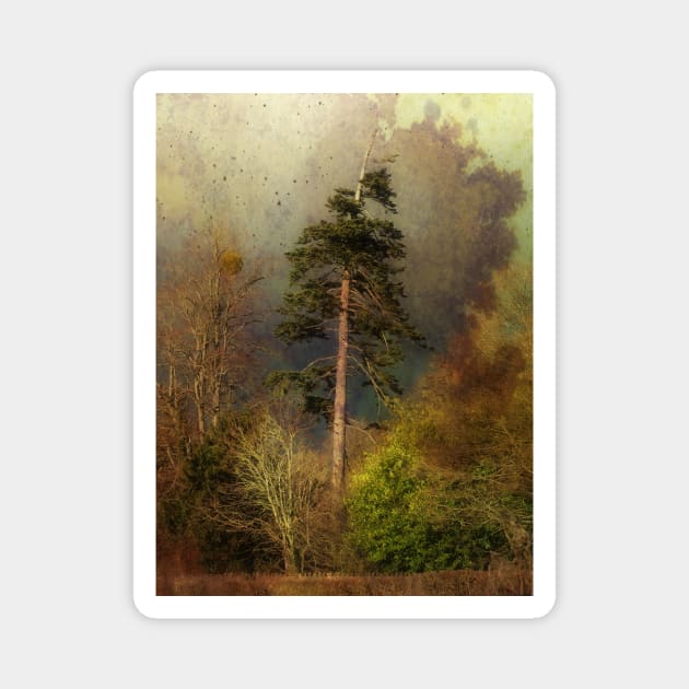 Dark, Stormy Autumn Day Magnet by AlexaZari