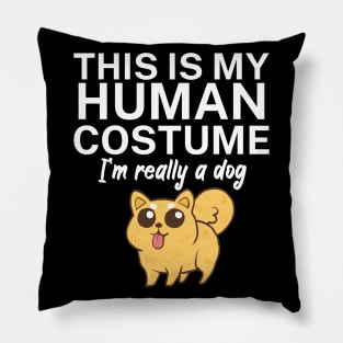 This is my human costume. I'm really a dog. Pillow