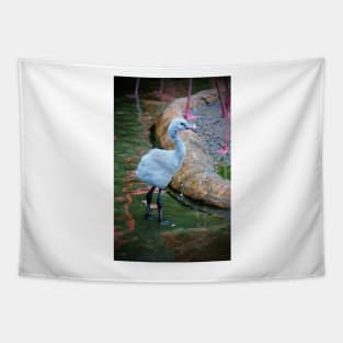 American Flamingo Chick Tapestry