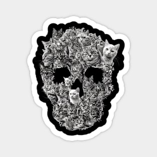 Cat Skull Craft Magnet