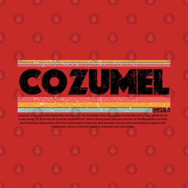 Cozumel, Mexico gift by graphicaesthetic ✅