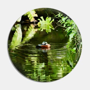 Jungle Duck / Swiss Artwork Photography Pin