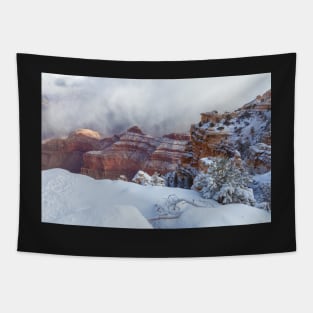 Grand Canyon Winter Tapestry