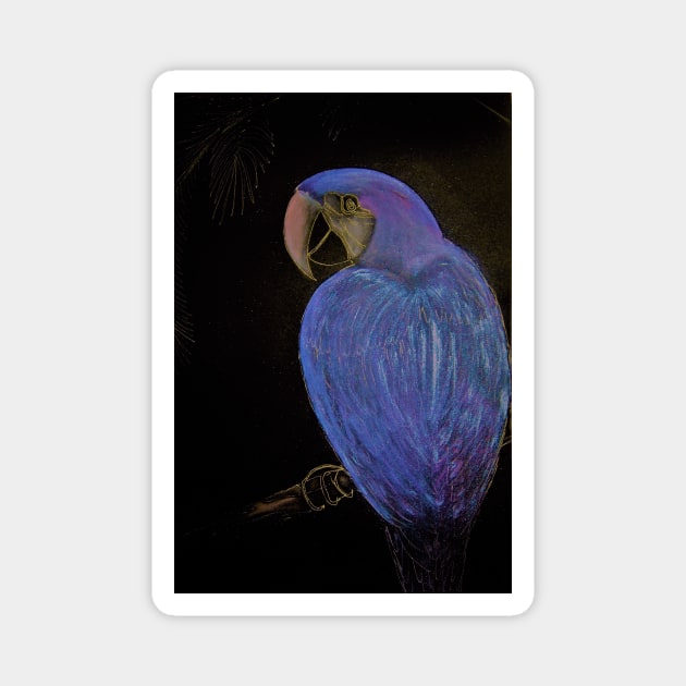 LUSTRE BLUE PURPLE TROPICAL PARROT Magnet by jacquline8689