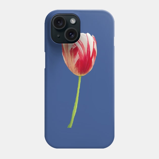 Modern Viceroy Phone Case by Amanda1775