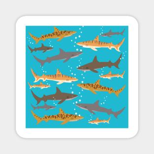 Shark frenzy Magnet