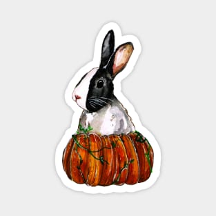 Dutch Bunny Pumpkin Magnet