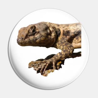 lizard Pin