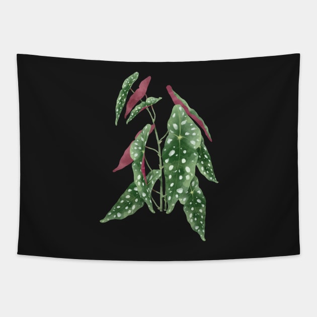 Begonia maculata plant | Polka dot plant Tapestry by gronly