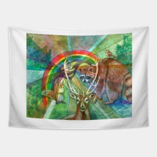 The Rainbow Cocoon Tapestry