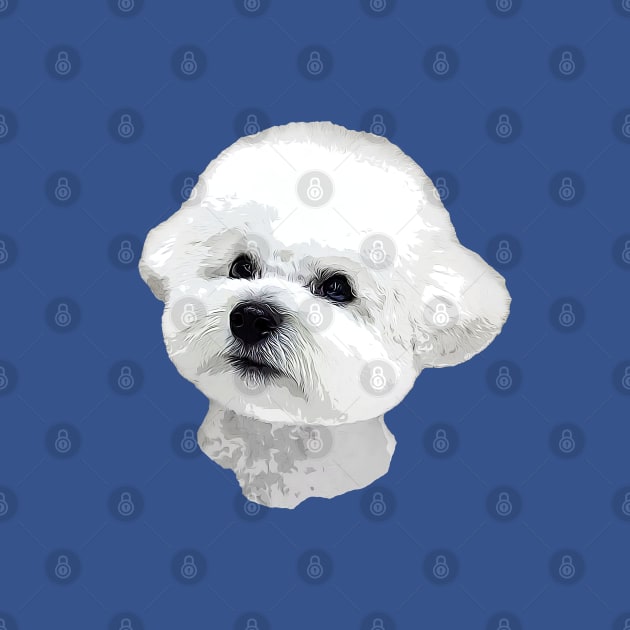 Bichon Frise Adorable Look by ElegantCat